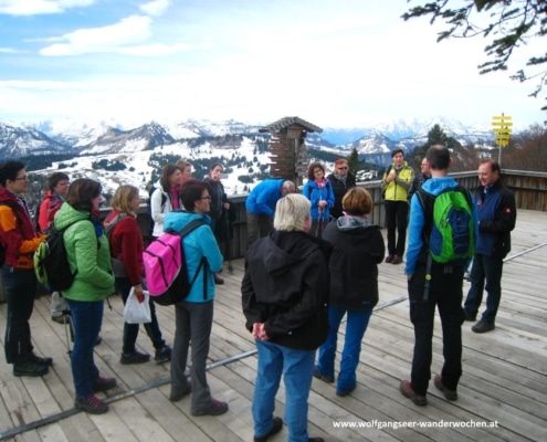 Wanderparadies Wolfgangsee: Pressewanderung 2016