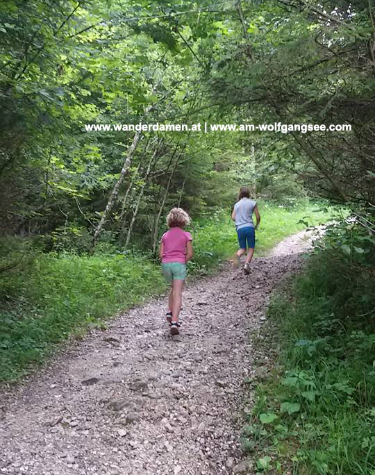 Theresienstein bei Strobl am Wolfgangsee über Weissenbach Laimeralm