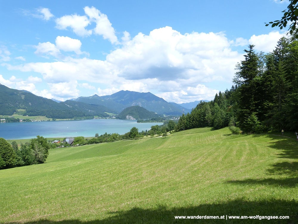 zaepfensteig-abersee-aberseeweg-strobl-wolfgangsee-wandern ...