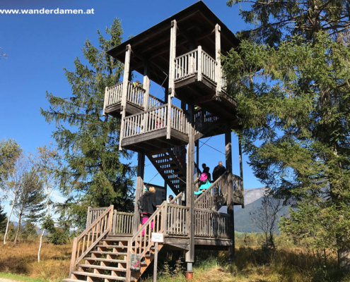 Zäpfensteig bei Abersee: Wanderweg, Aberseeweg