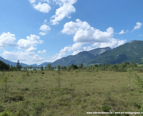 Zäpfensteig bei Abersee: Wanderweg, Aberseeweg